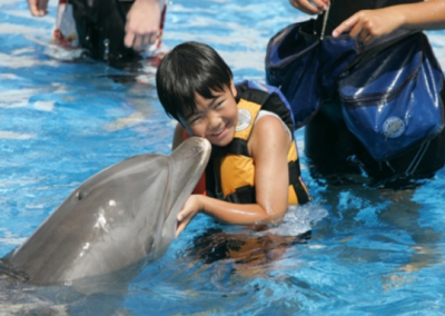 Dolphin Encounter Oahu Hawaii