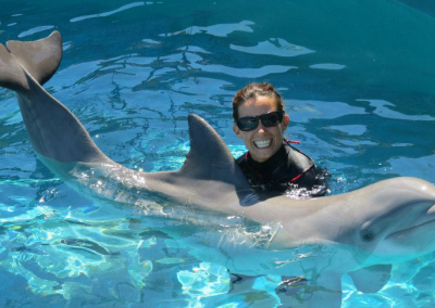 Oahu Dolphin Trainer Hawaii