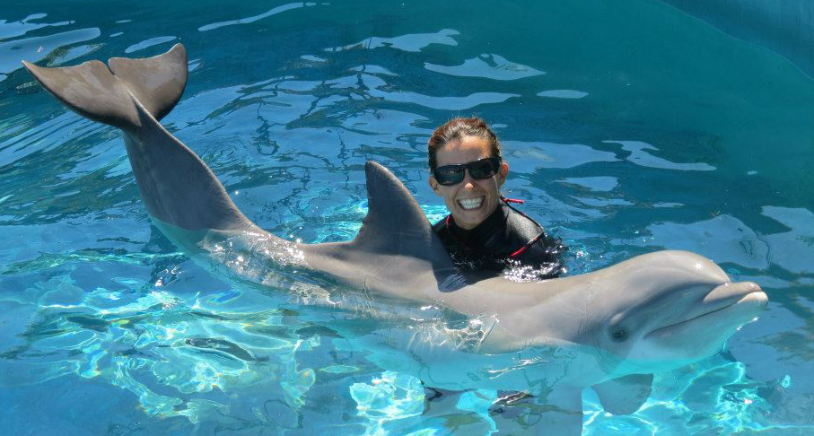 Oahu Dolphin Trainer Hawaii