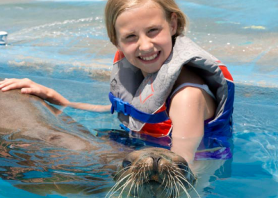 dolphin and sea lions oahu Hawaii