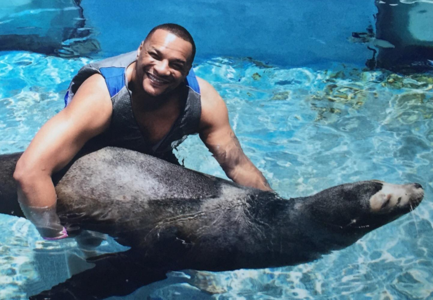 Oahu Hawaii Sea Lion Encounter