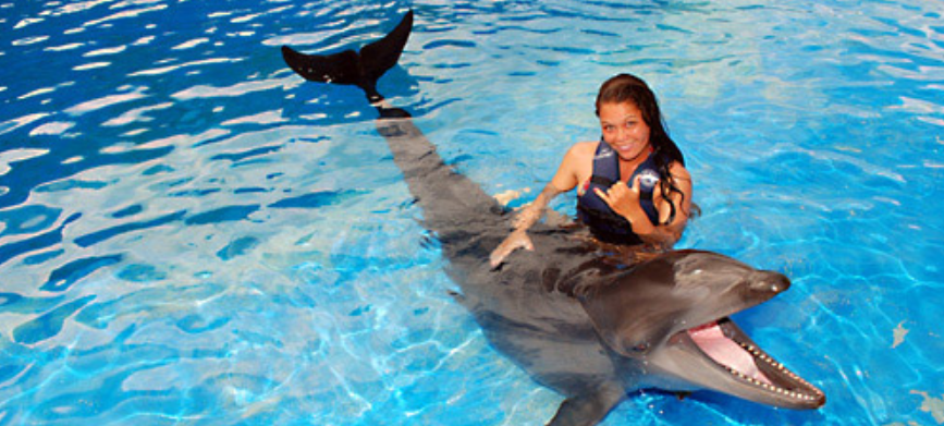 Wholphin Sea Life Park