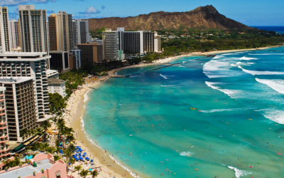 A Dream Come True: Swimming with Dolphins at Sea Life Park Near Waikiki Beach, Hawaii