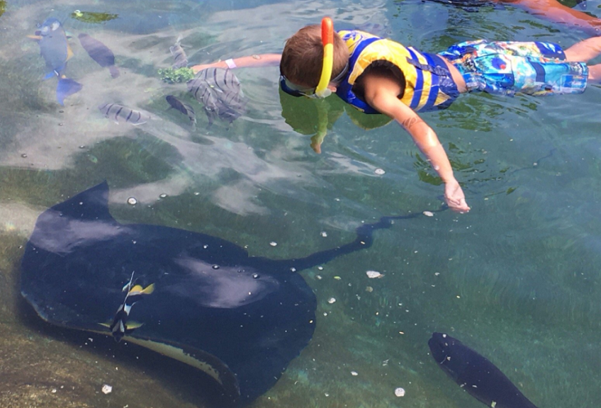 Other Fun Activities at Sea Life Park