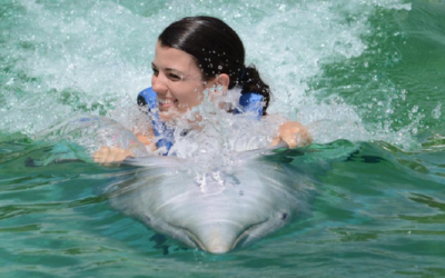 Dolphin Swim Adventure – Belly Ride with the Dolphin