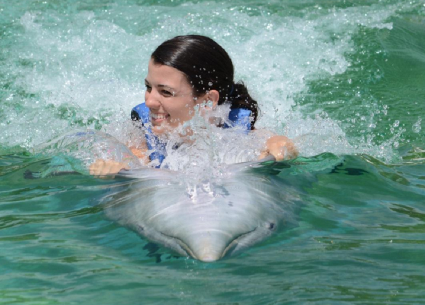 Hawaii Dolphin Swim Adventure