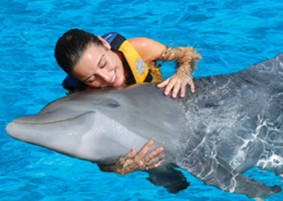 Dolphin Swim Adventure in Oahu Hawaii