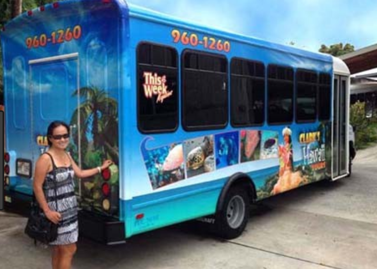 Free Transportation to Sea Life Park