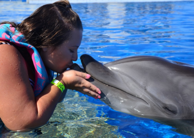 dolphin encounters Oahu