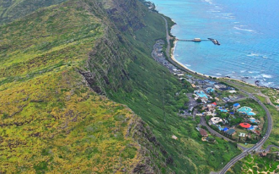 Beyond the Waves: Exploring More Adventures Near Sea Life Park