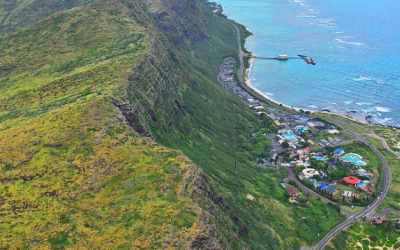 Can You Park Your Car at the Dolphin Swim Hawaii