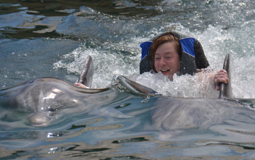 Free Photos with Oahu Dolphin Royal Swim