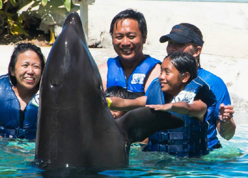 Christmas and Swim with Dolphins Waikiki