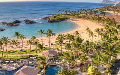 Swimming with Dolphins Near Ko Olina Oahu