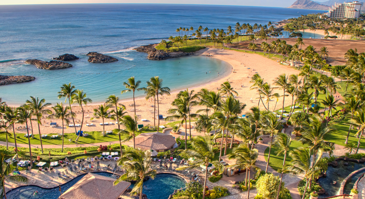 Swim with Dolphins near Ko Olina