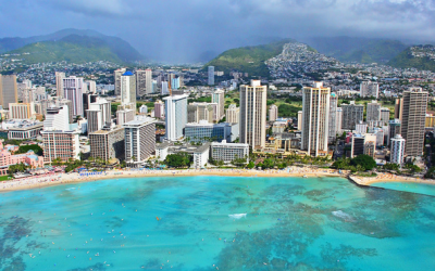 Swimming with Dolphins Near Waikiki Beach Hawaii