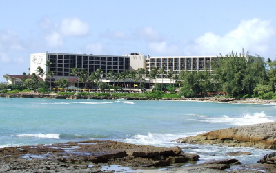 Swimming with Dolphins Near Turtle Bay Resort Hawaii