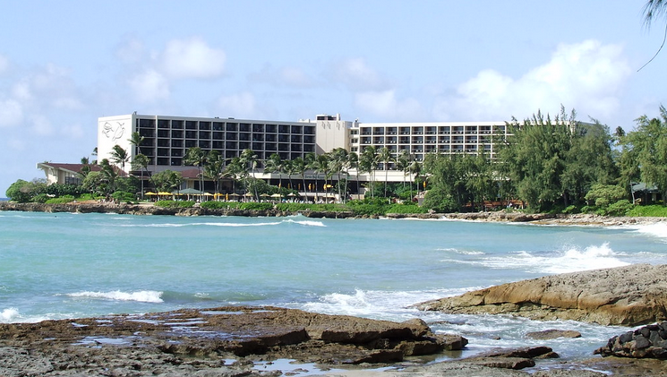 Swimming with Dolphins Near Turtle Bay Resort Hawaii