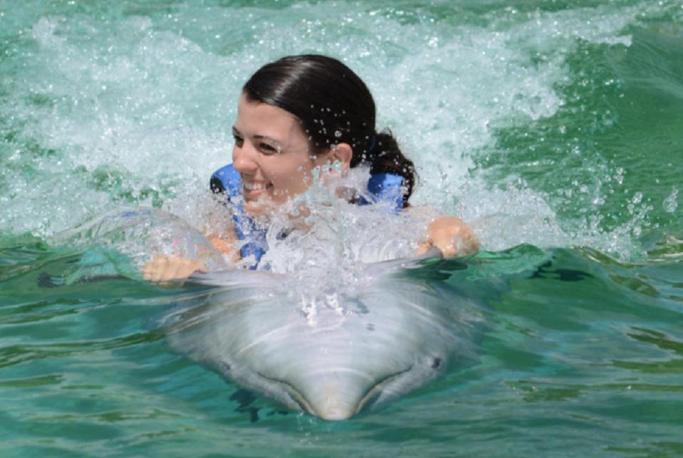 Hawaii_Dolphin_Swim_Adventure_960X643