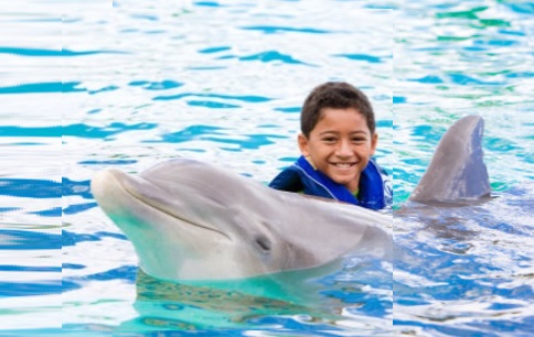 center-dolphin-encounter