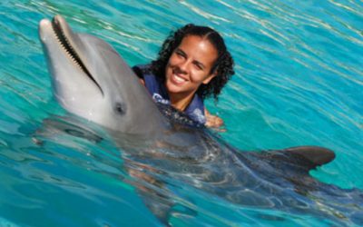 Oahu Dolphin Encounter – Safe and Shallow