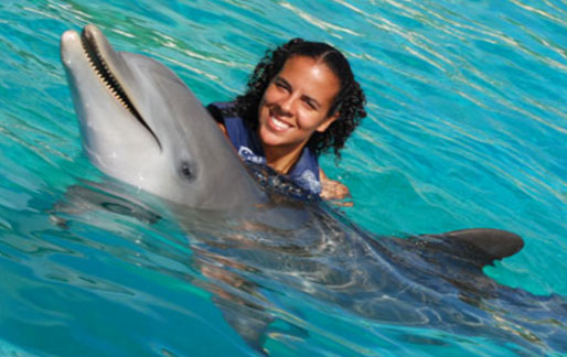 Hug and Play Dolphin in Oahu Hawaii