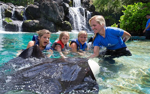 Hawaii Reef Adventure