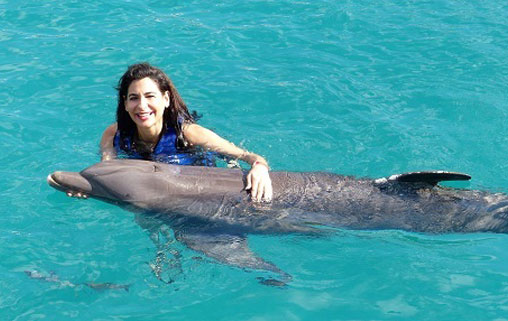 Oahu Dolphin Exploration