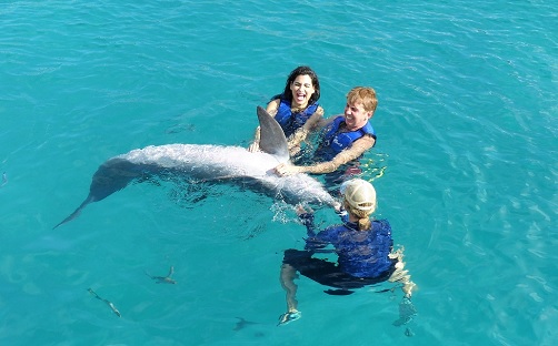 Dolphin Exploration Oahu Hawaii