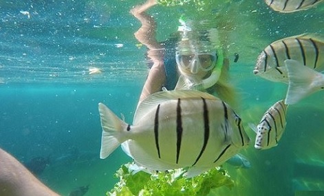 Hawaiian Reef Encounter Oahu