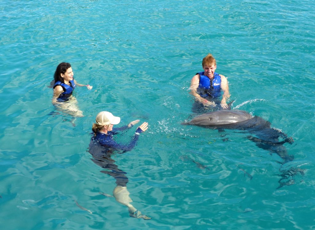 Dolphin Exploration Sea Life Park