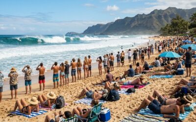 North Shore Adventure: From Legendary Waves to Dolphin Encounters
