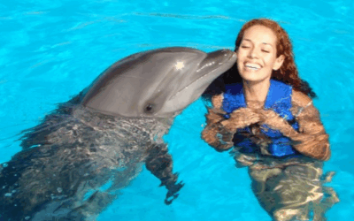 Air Supply Live in Oahu: A 50th Anniversary Celebration