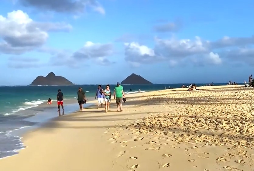 Swim with Dolphins near Kailua Oahu Hawaii
