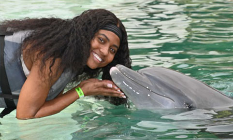 Dolphin Encounter non-swim Oahu Hawaii