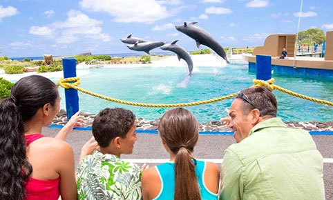 General Admission to Sea Life Park