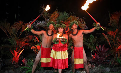 The Oahu Dolphin Experts says to Combo your Luau and dolphin program