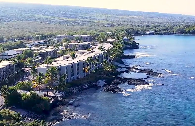 Swim with Dolphins near Kailua
