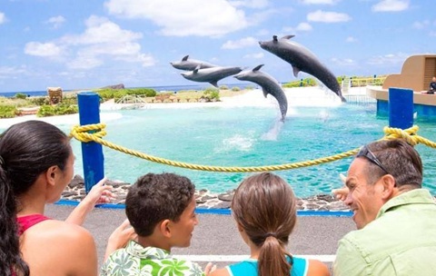 General Admission to Sea Life Park