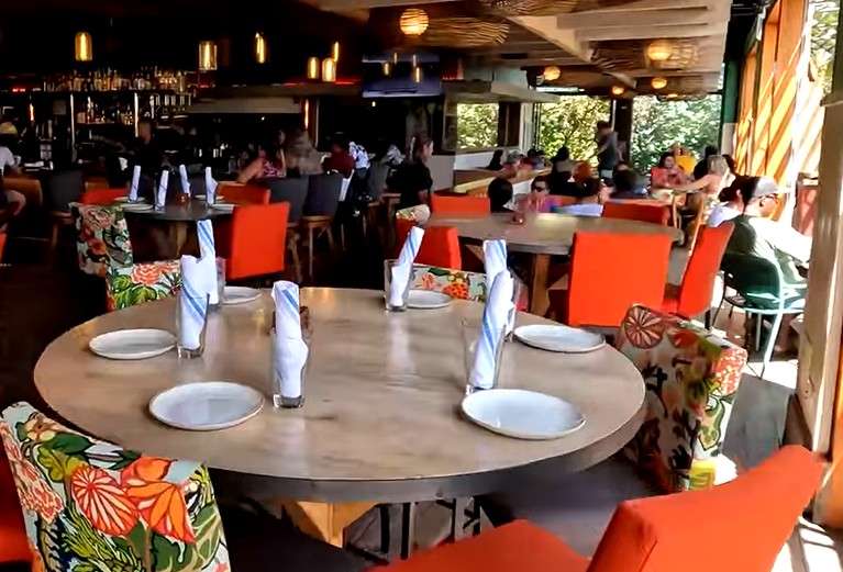 Swim with Dolphins near Ko Olina 