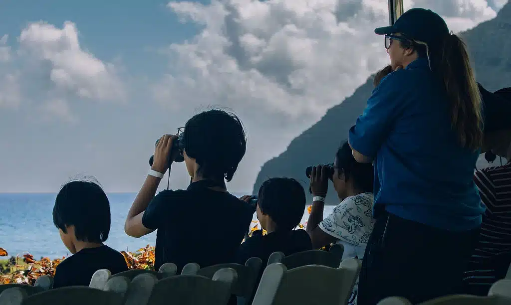 Whale Watching in Oahu