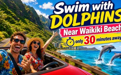 What to Know Before Driving from Waikiki to Sea Life Park