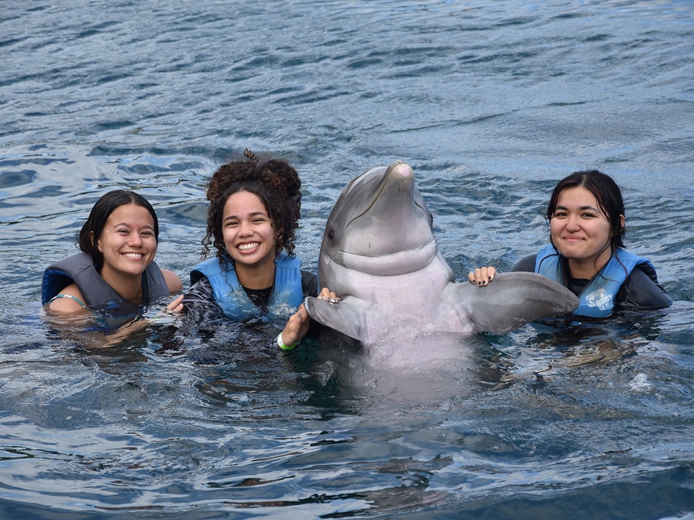Three guests posing in the water with a dolphin at Sea Life Park Oahu