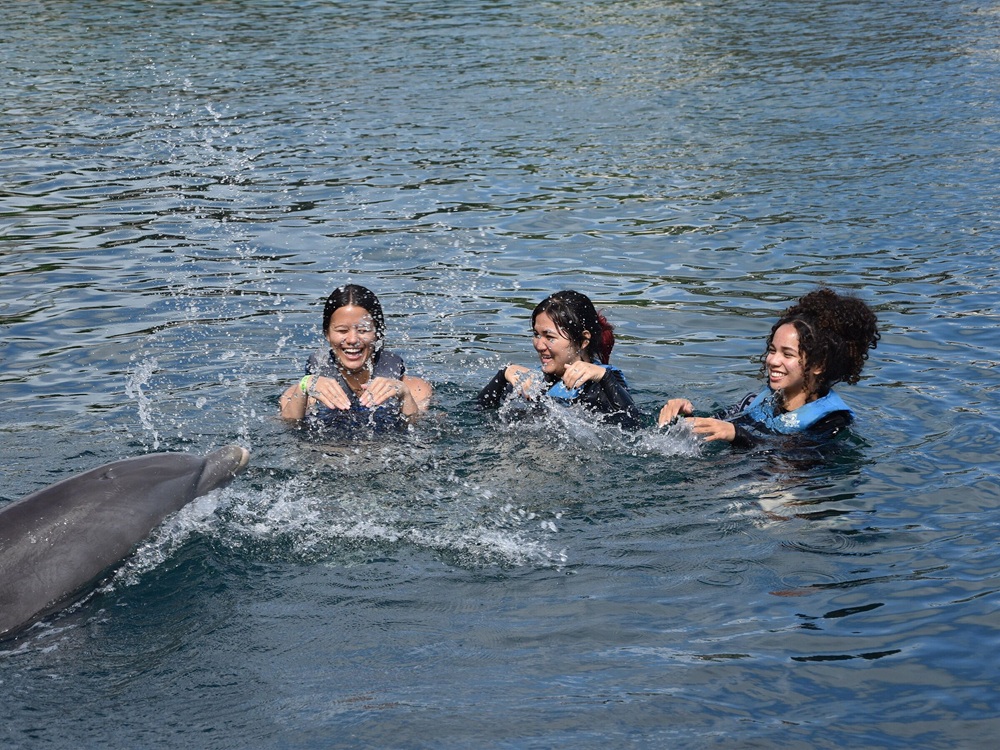 Guests swimming and splashing with a dolphin in deep water at Sea Life Park Oahu