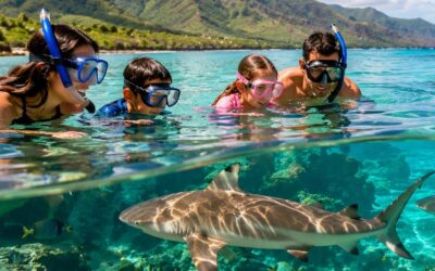 Manō Month: Celebrate the Sharks of Hawaiʻi at Sea Life Park